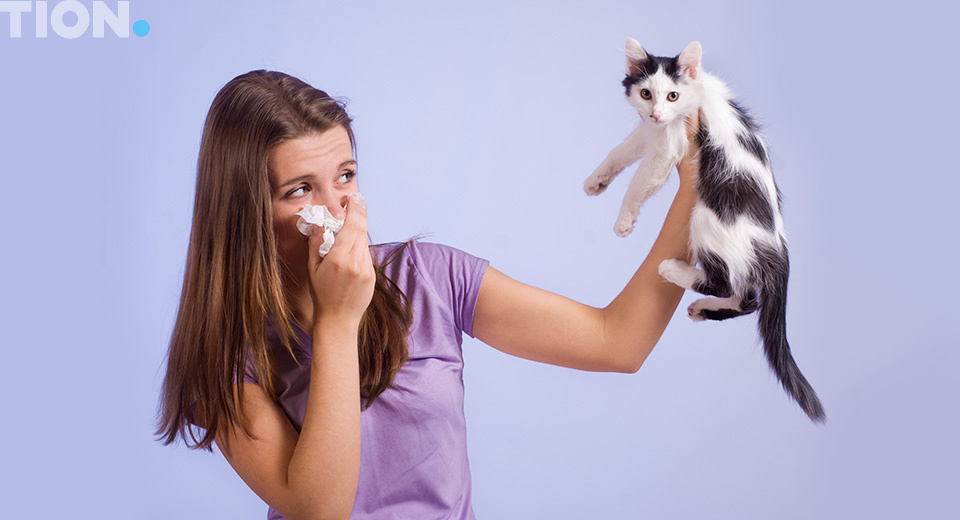 Симптомы аллергии на животных