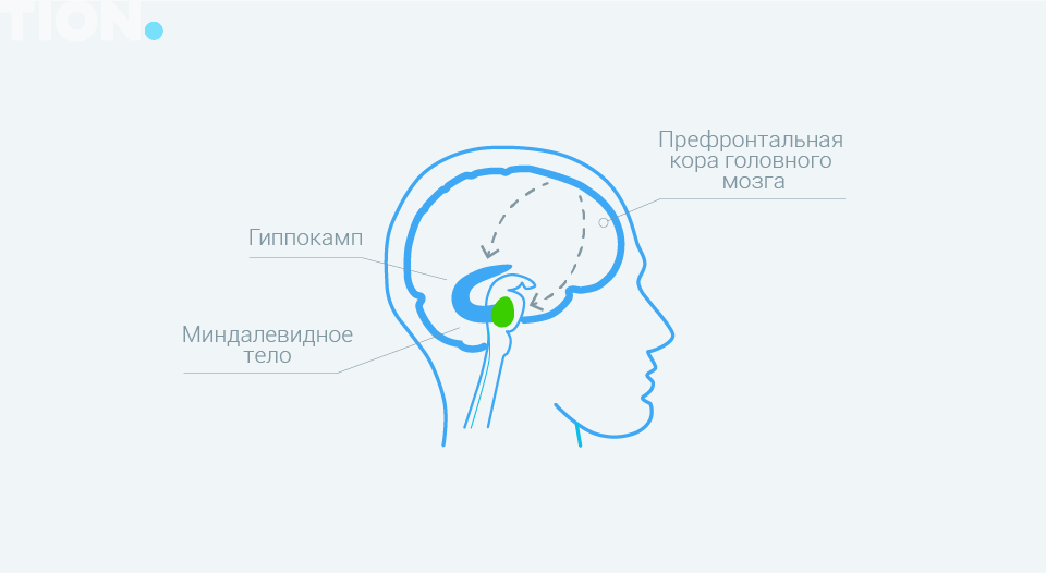 Мозг во время депрессии